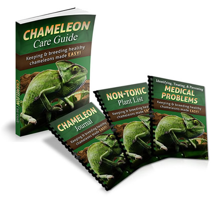 Chameleon Care Guide pricing