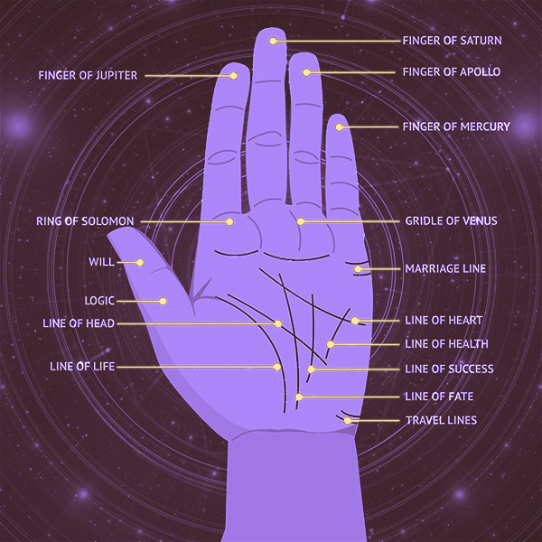 Psychic Violetta Will Read Your Palm pricing